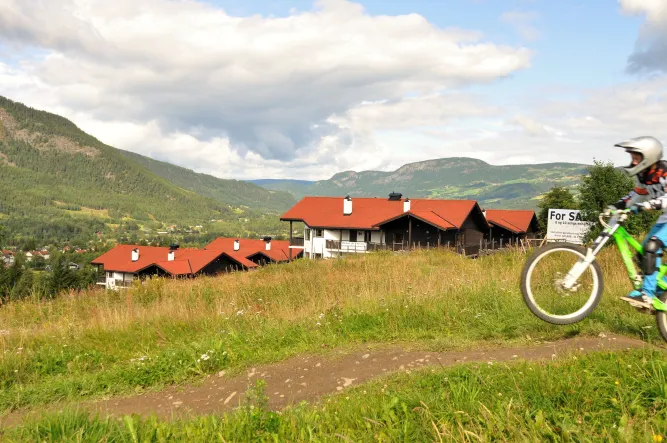 Wereldkampioenschappen mountainbiken 2014 in Hafjell en Lillehammer