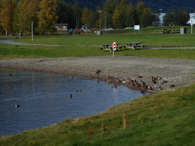 Lågendeltaet Natuurreservaat
