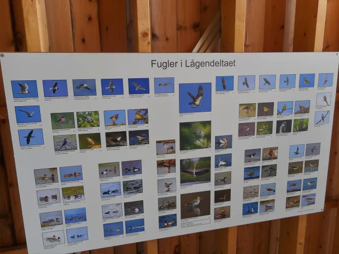 Uitkijktoren Gudbrandsdalslågen