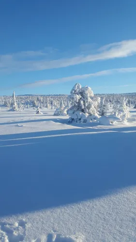 Langlaufen in de regio Lillehammer