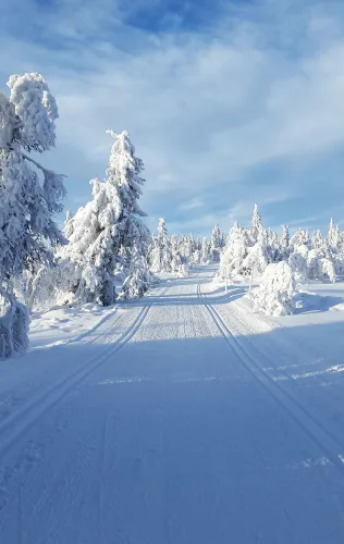 Langlaufen in de regio Lillehammer