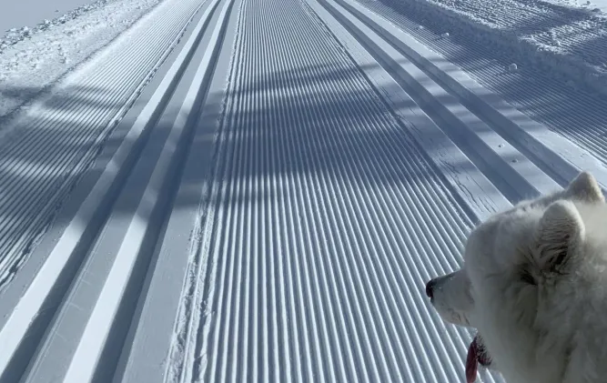 Langlaufen in de regio Lillehammer