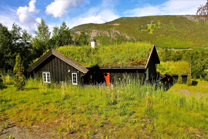 Nordlia 11
