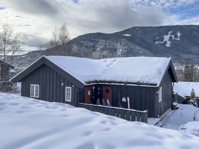 Nordlia 11