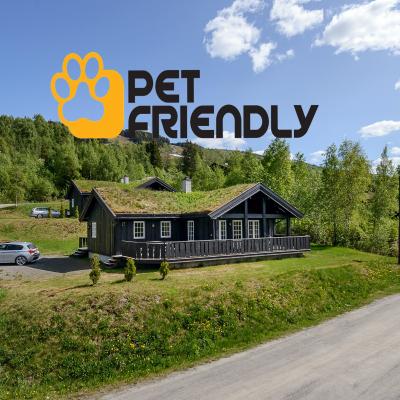 Pet friendly accommodation