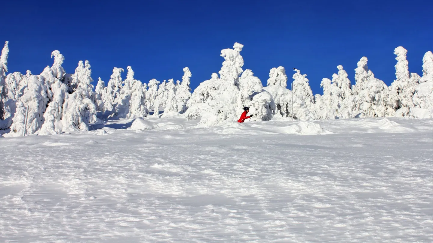 Langrenn på fjellet