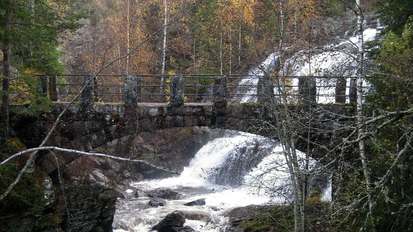 Mesnaelva