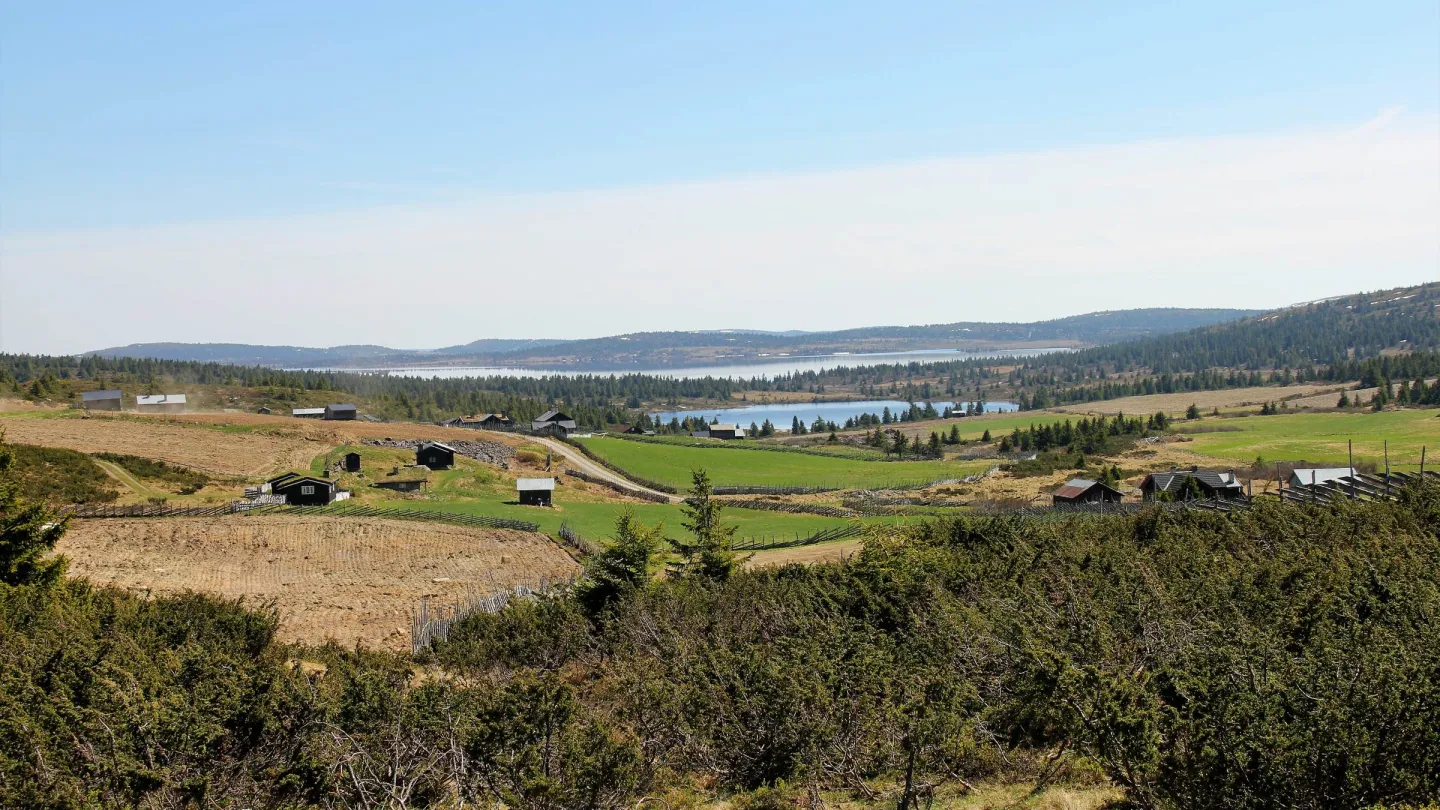 Øyerfjellet