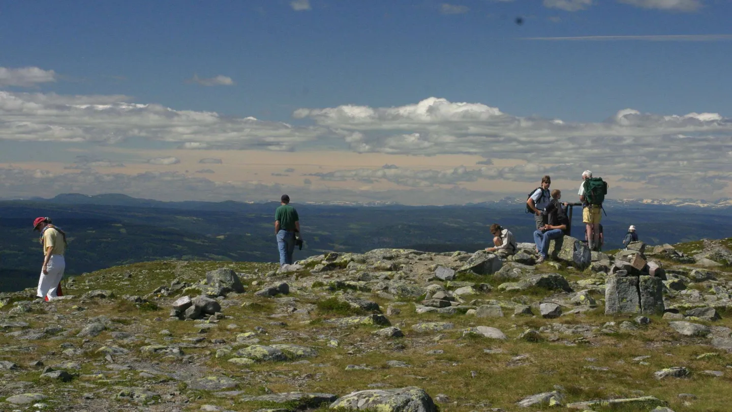 Nevelfjellet
