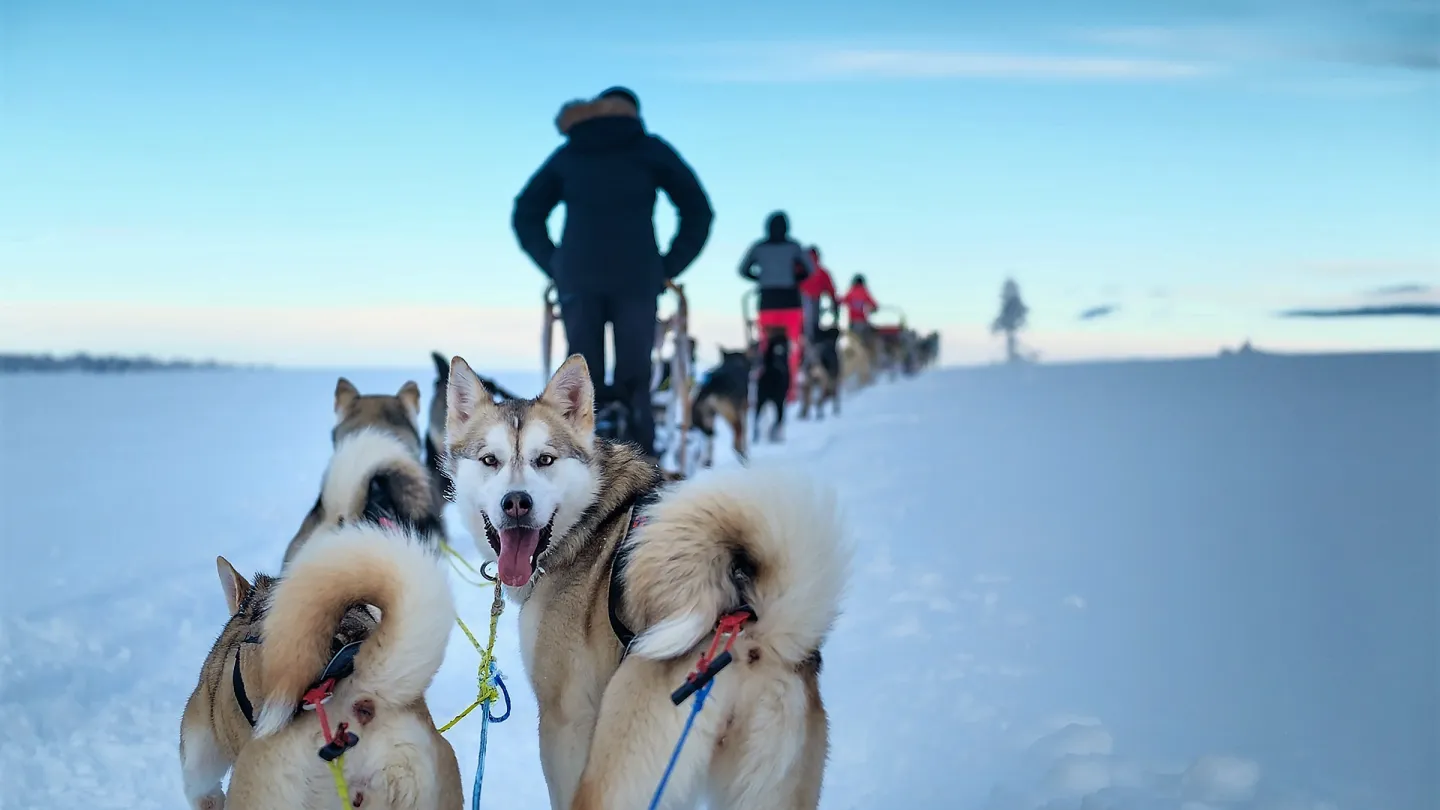 Vinter på fjellet